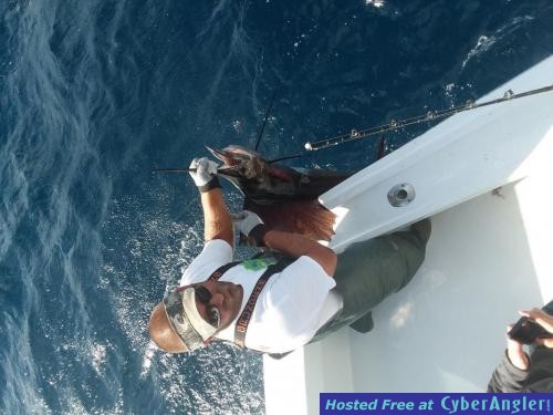 Click to Enlarge Photo