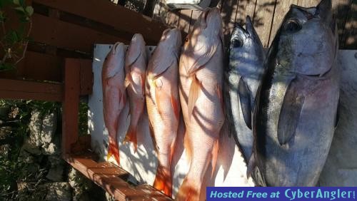 Click to Enlarge Photo