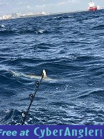 Click to Enlarge Photo