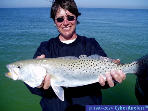 Click to Enlarge Photo