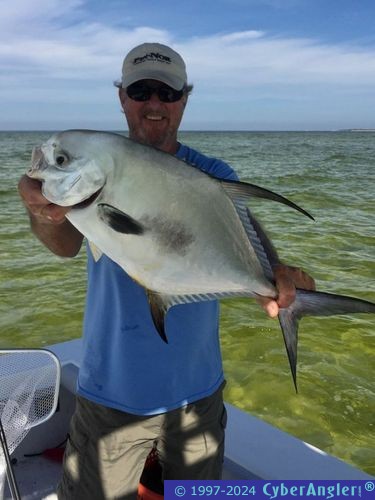 Click to Enlarge Photo