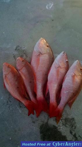 Click to Enlarge Photo