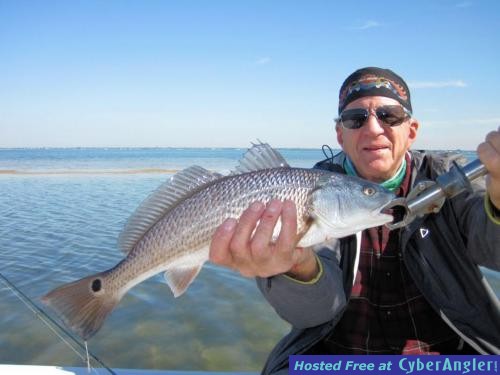 Click to Enlarge Photo