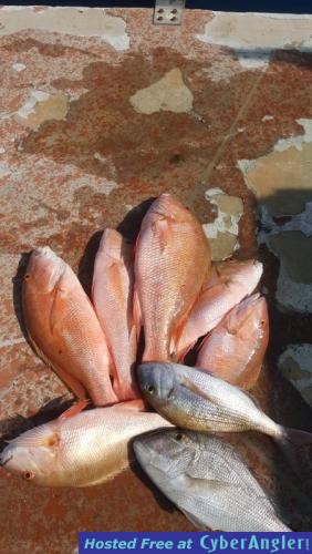 Click to Enlarge Photo