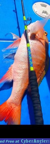 Click to Enlarge Photo