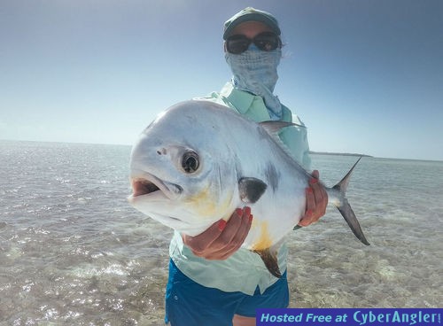 Click to Enlarge Photo