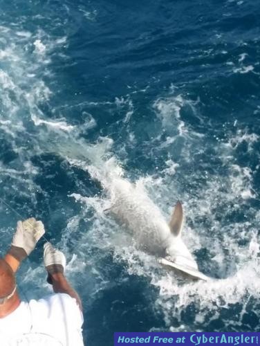 Click to Enlarge Photo