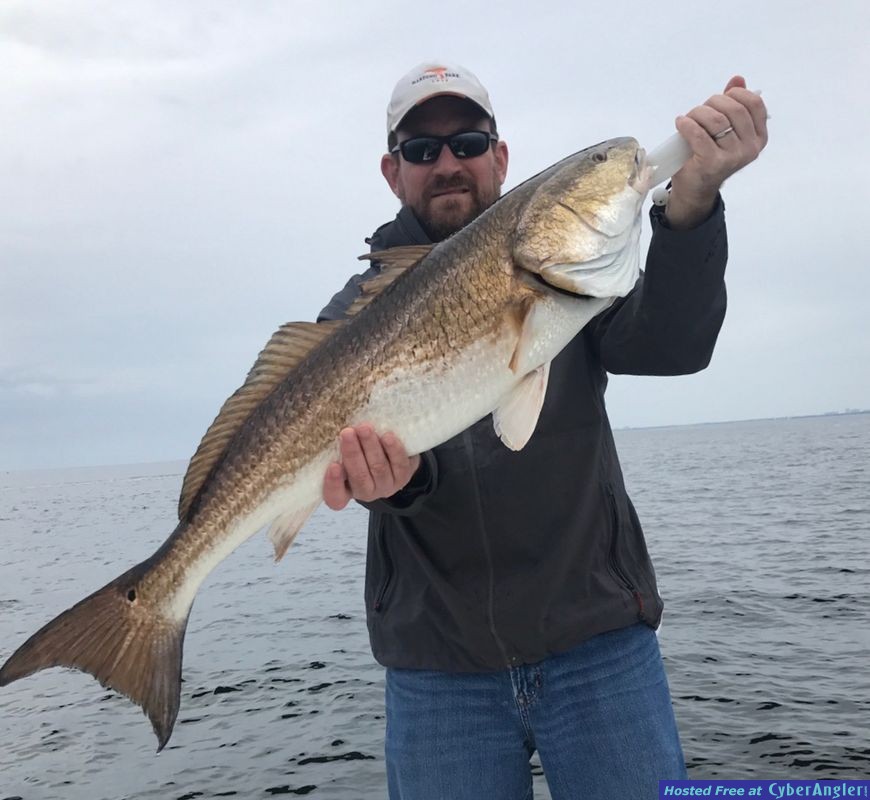 Click to Enlarge Photo