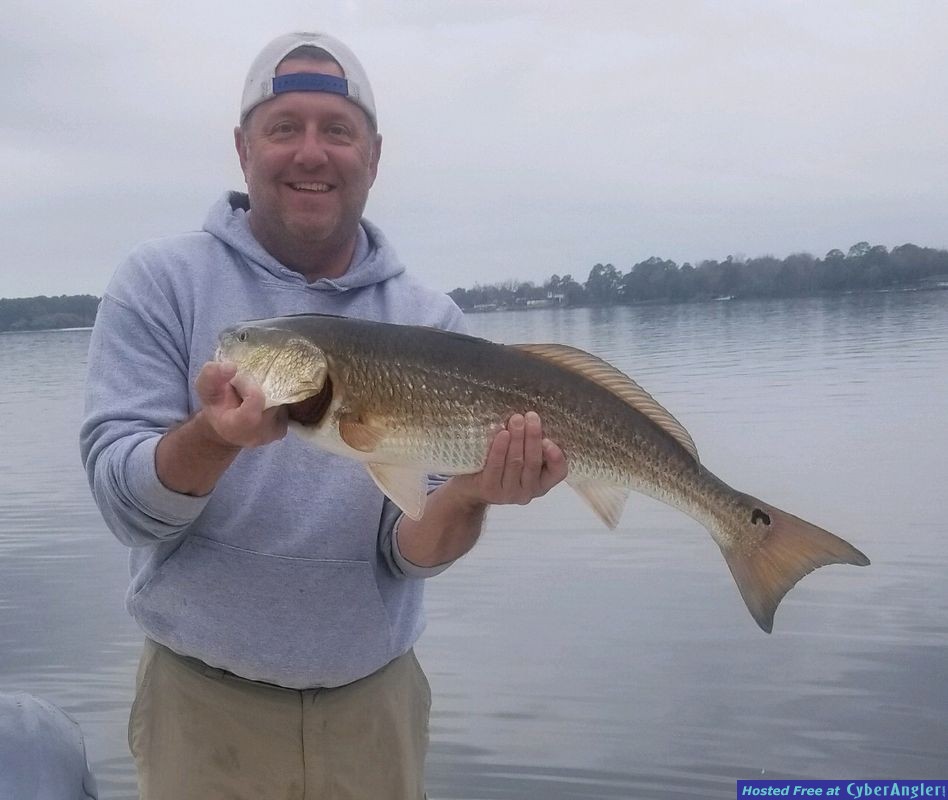 Click to Enlarge Photo