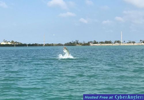 Click to Enlarge Photo