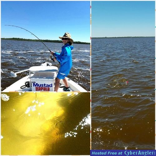 Click to Enlarge Photo