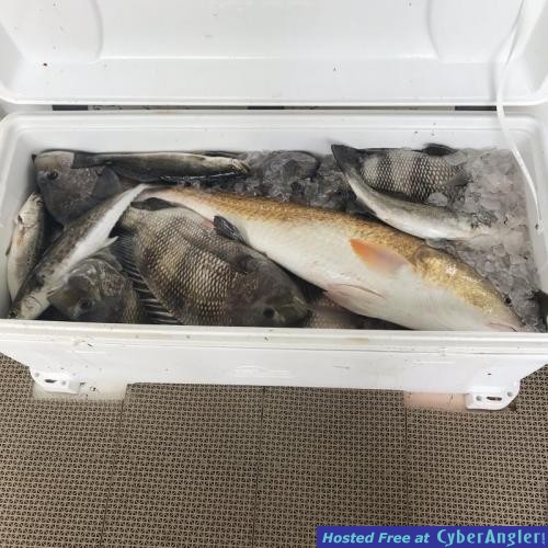 Click to Enlarge Photo