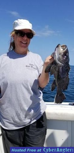 Click to Enlarge Photo