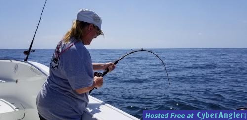 Click to Enlarge Photo