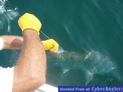 Click to Enlarge Photo