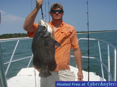 Click to Enlarge Photo