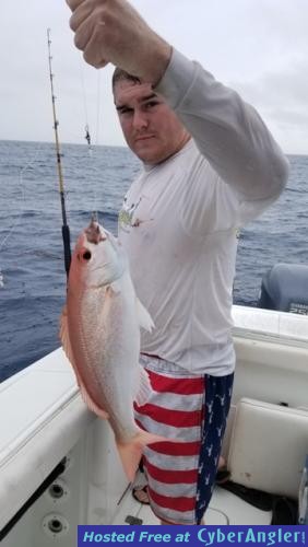 Click to Enlarge Photo