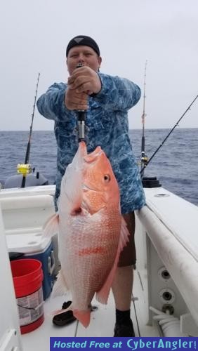 Click to Enlarge Photo