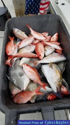 Click to Enlarge Photo