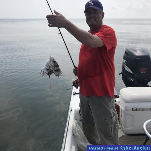 Click to Enlarge Photo