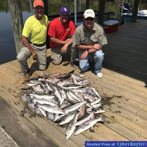 Click to Enlarge Photo