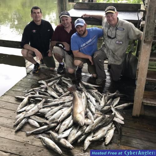 Click to Enlarge Photo