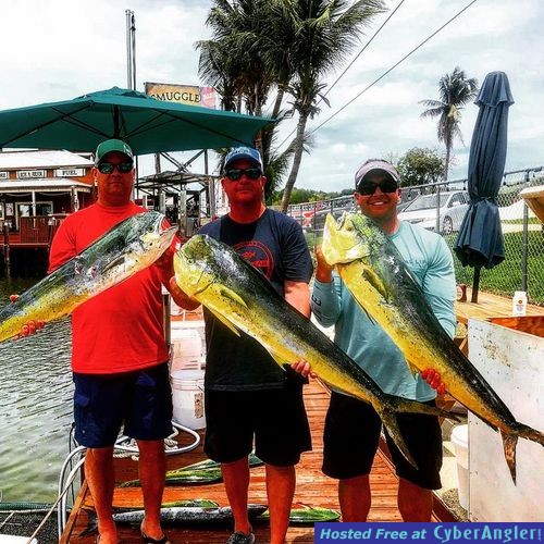 Click to Enlarge Photo