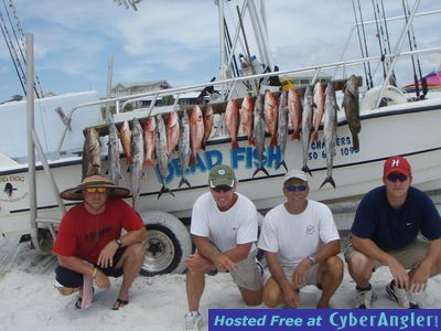 Click to Enlarge Photo