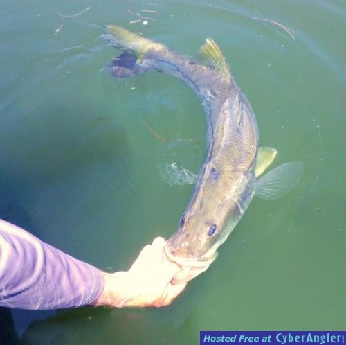 Click to Enlarge Photo