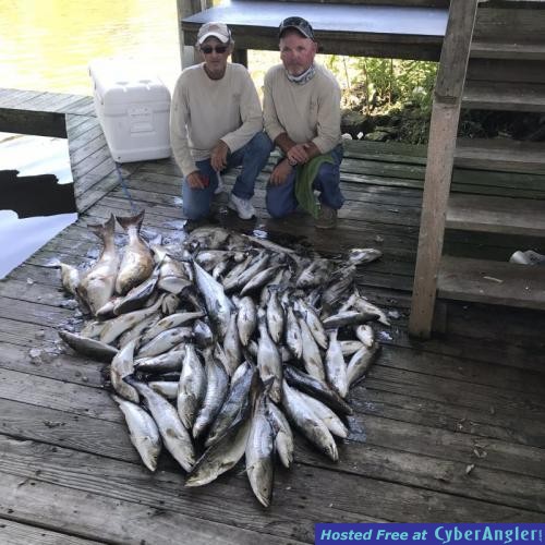 Click to Enlarge Photo