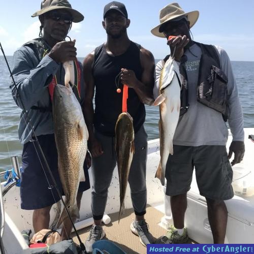 Click to Enlarge Photo