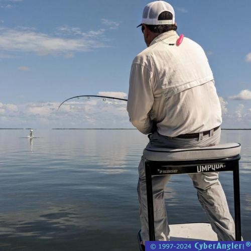 Click to Enlarge Photo