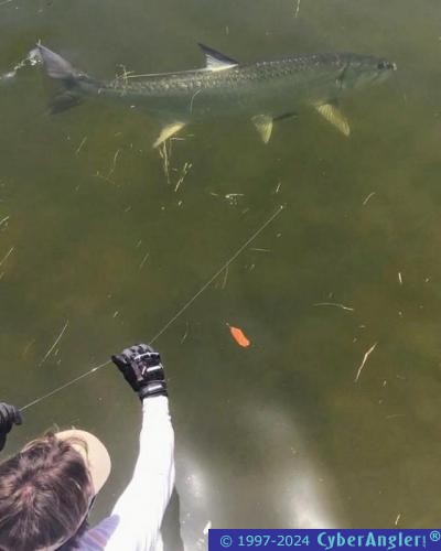 Click to Enlarge Photo