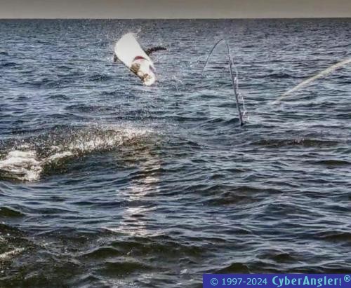 Click to Enlarge Photo