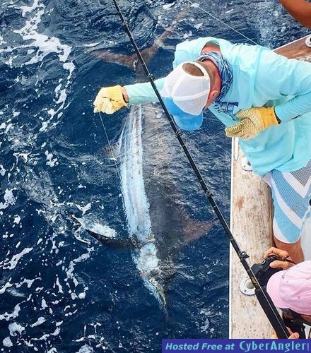 Click to Enlarge Photo