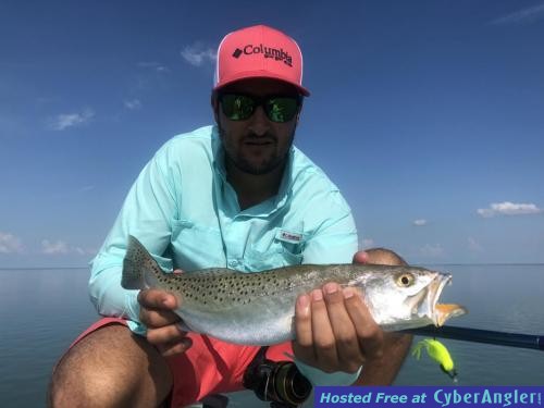 Click to Enlarge Photo