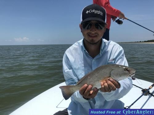 Click to Enlarge Photo