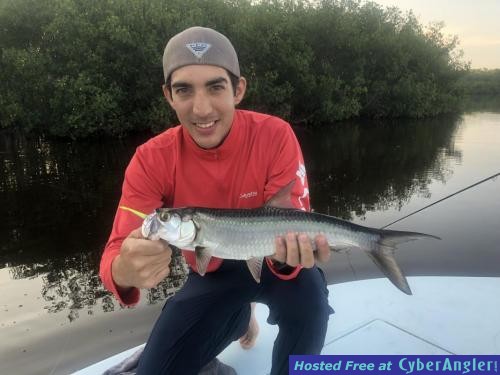 Click to Enlarge Photo