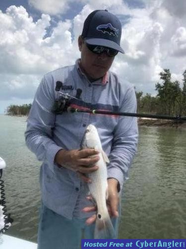 Click to Enlarge Photo