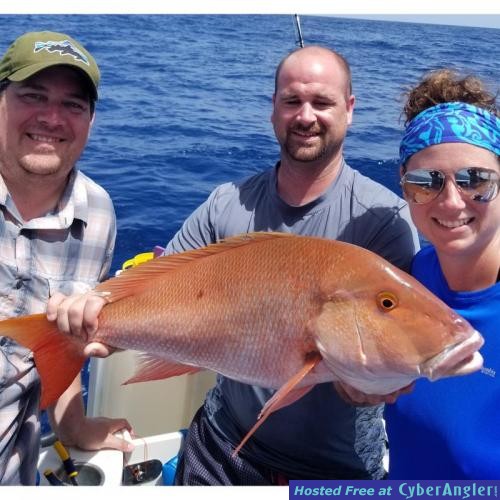 Click to Enlarge Photo