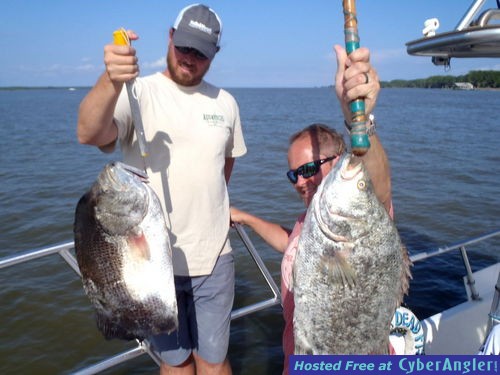 Click to Enlarge Photo