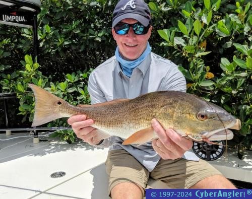 Click to Enlarge Photo