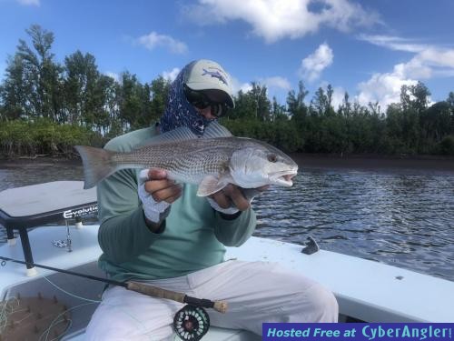 Click to Enlarge Photo