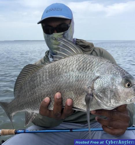 Click to Enlarge Photo