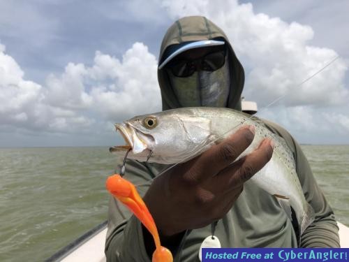 Click to Enlarge Photo