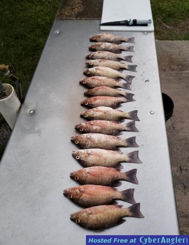 Click to Enlarge Photo