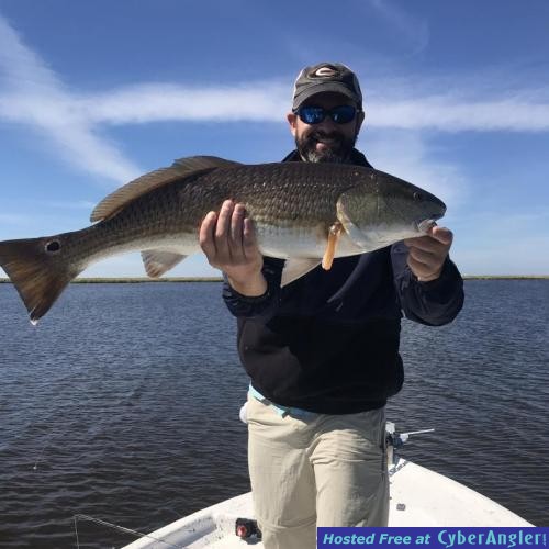 Click to Enlarge Photo