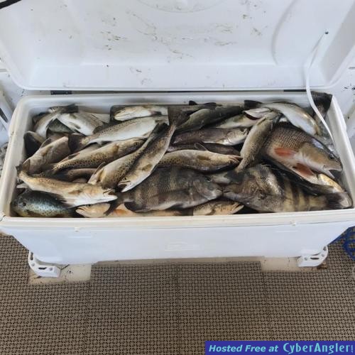 Click to Enlarge Photo