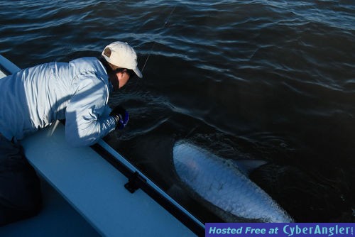 Click to Enlarge Photo