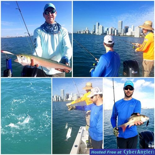 Click to Enlarge Photo